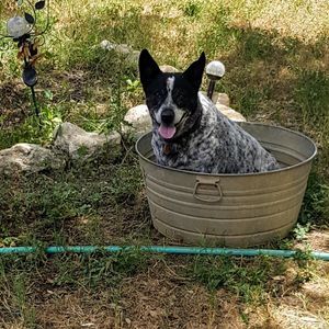 Meet your Posher, Richard